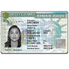 Green Card Astrology Immigration